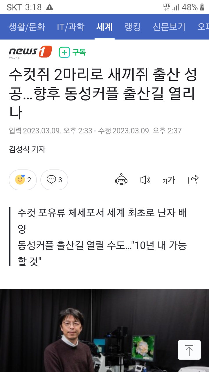 사다리게임통계