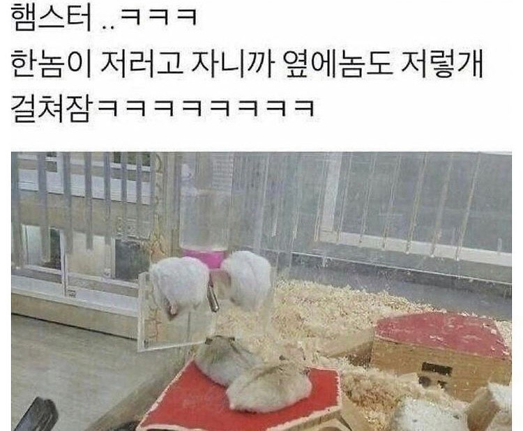 파워볼게임픽