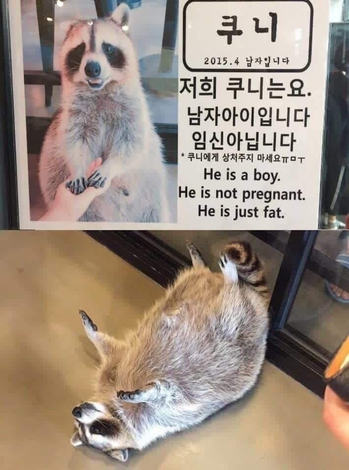 성인게임