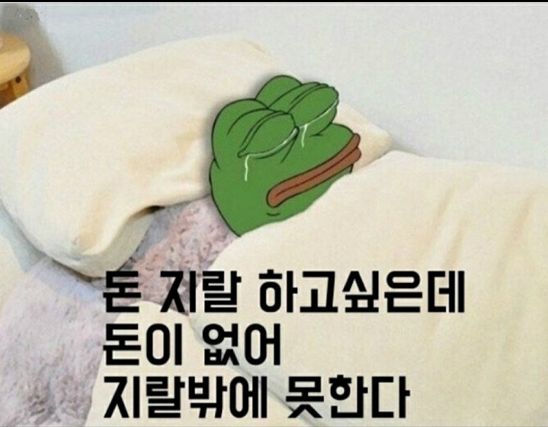 다리다리 분석과 실시간패턴통계