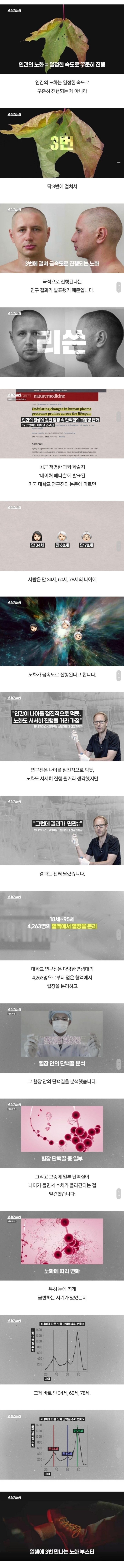 파워볼필승