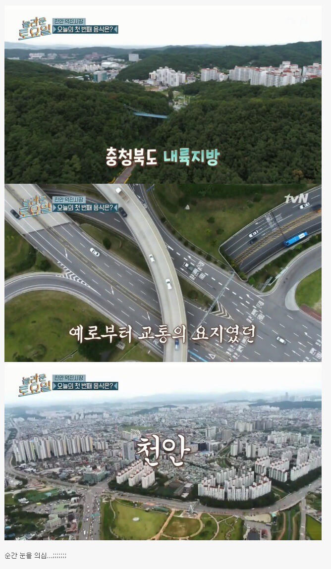 실시간달팽이