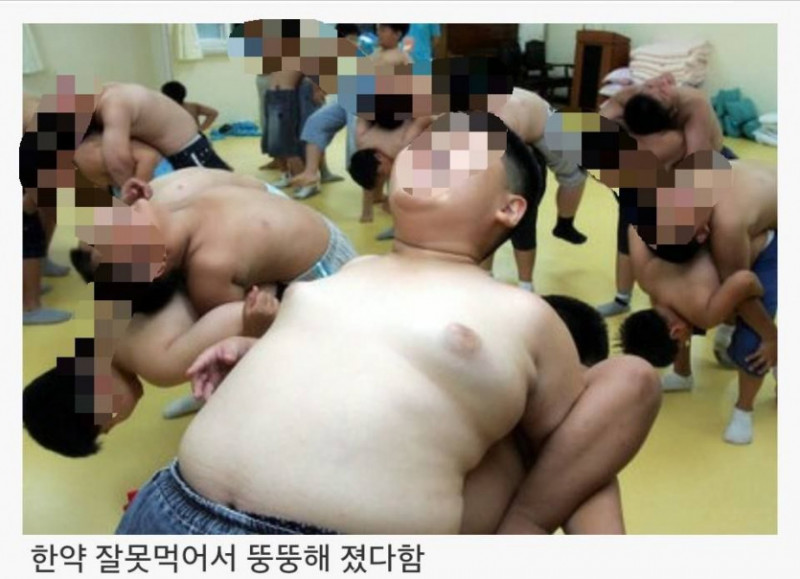 파워볼게임픽분석