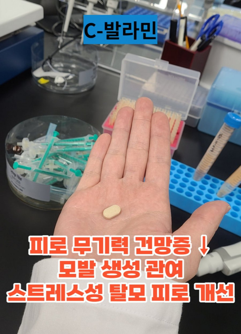 파워볼게임픽분석