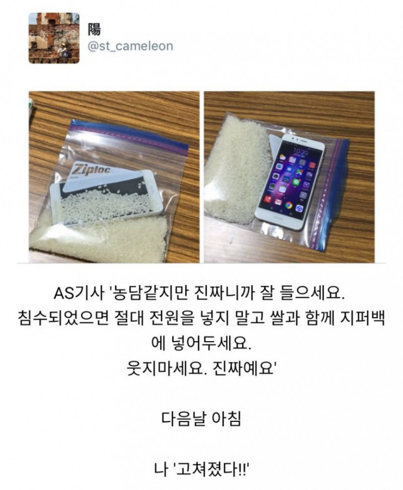 달팽이게임통계