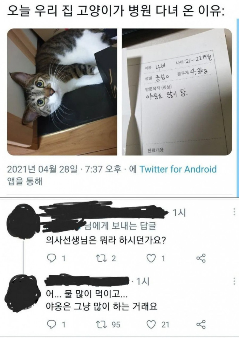 달팽이게임