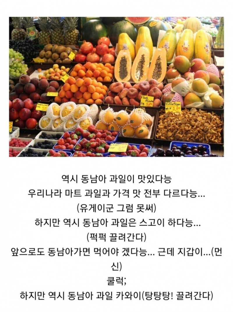 사다리 분석과 실시간패턴통계