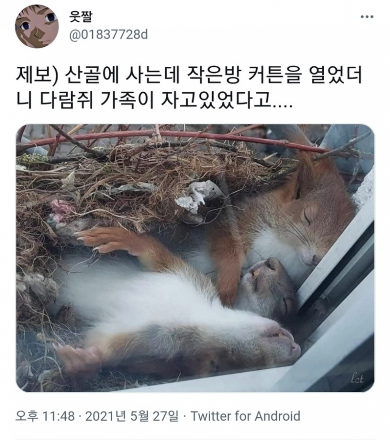 파워볼게임분석