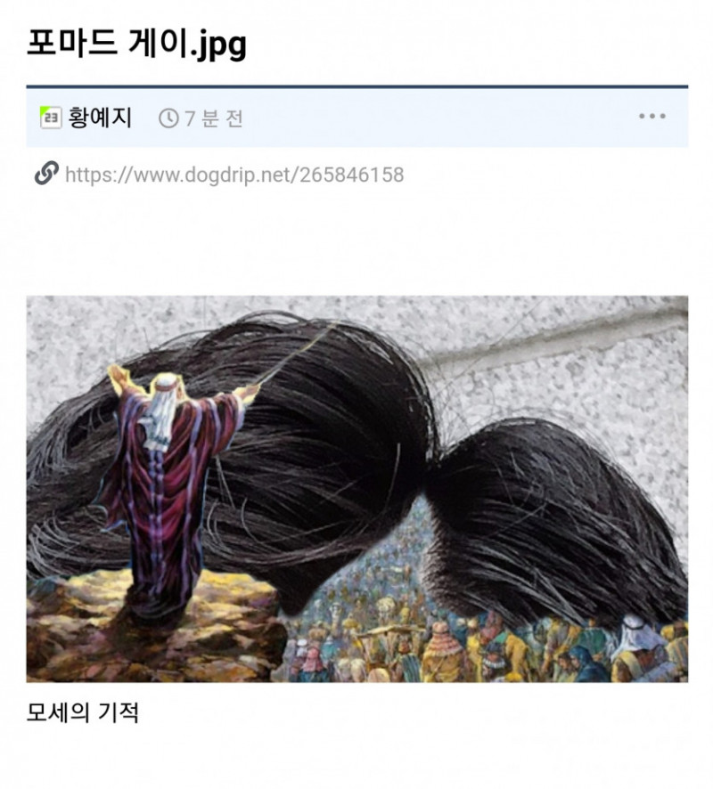 달팽이게임분석기