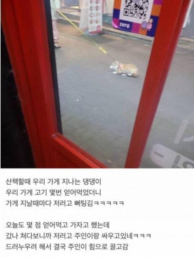 파워볼게임픽분석