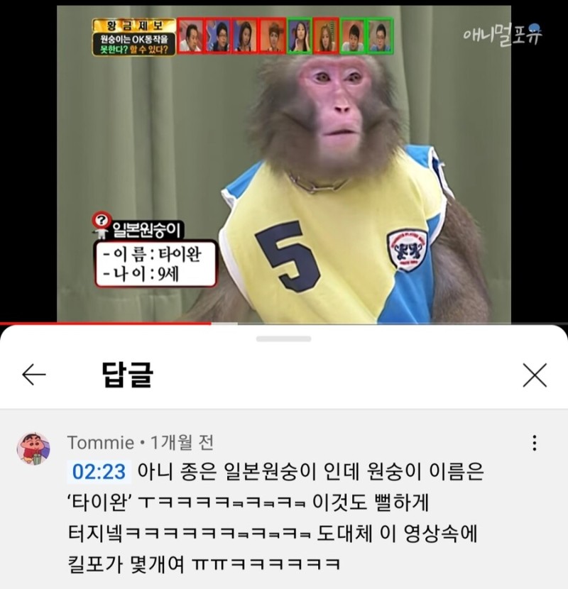 나눔로또