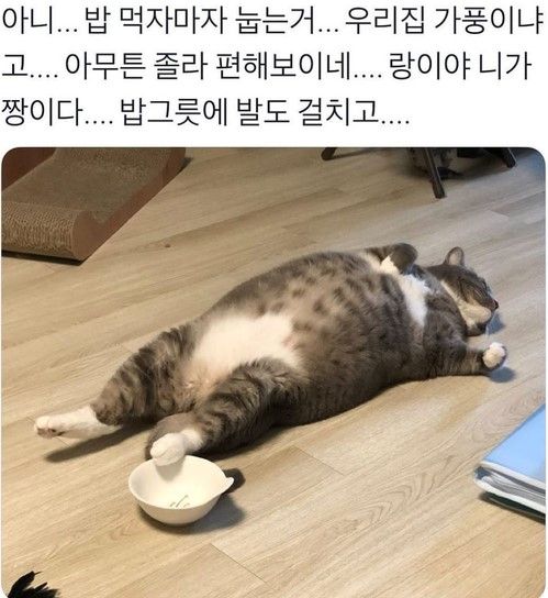 파워볼게임분석기