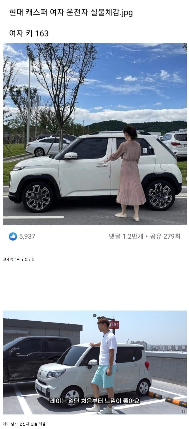 파워볼게임분석