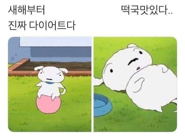 파워볼게임분석