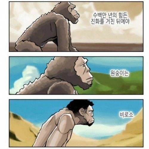 사다리게임통계