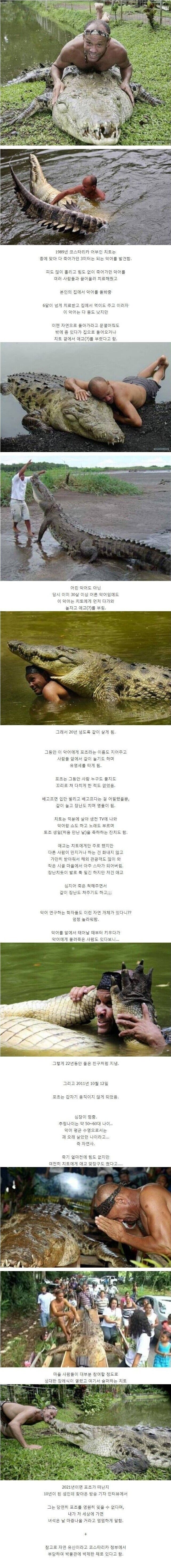 파워볼게임통계