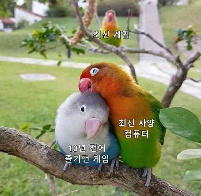 파워볼게임통계