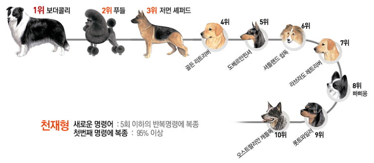 달팽이게임분석기