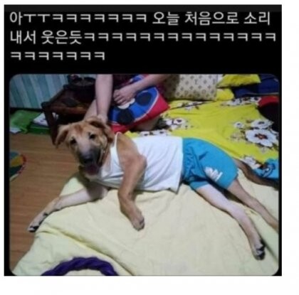 실시간파워볼