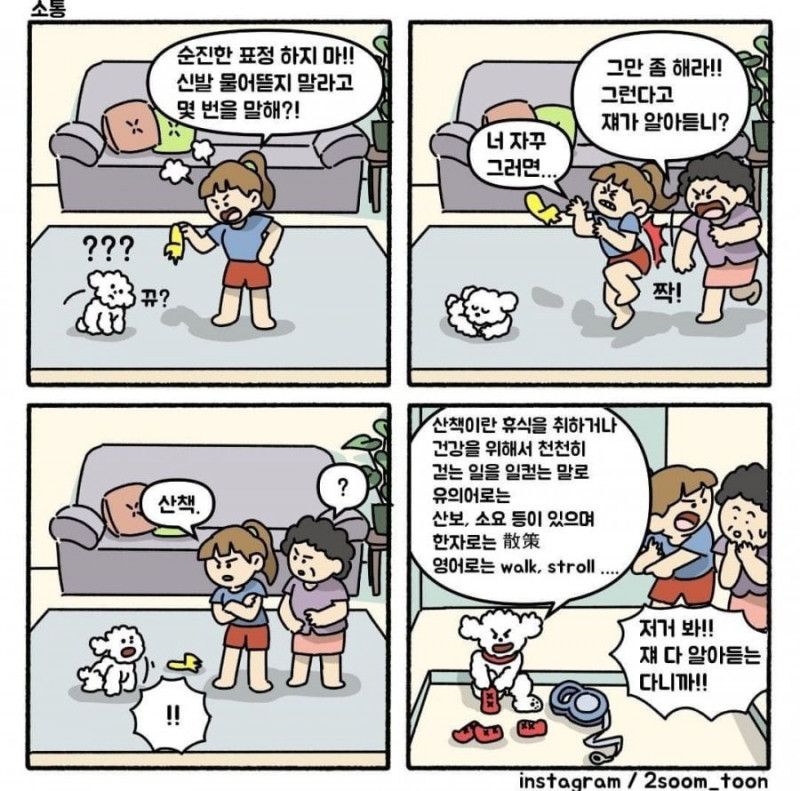 실시간파워볼