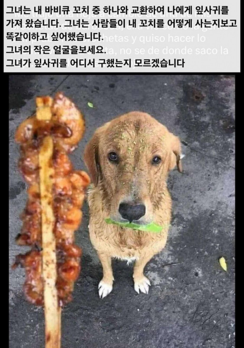 달팽이게임픽분석