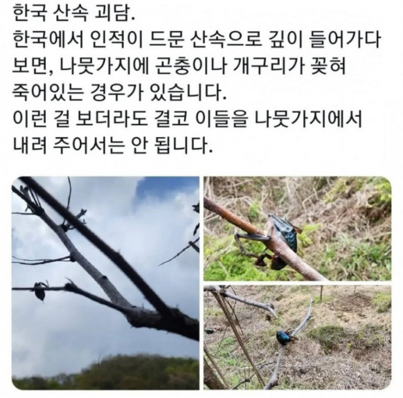 실시간달팽이