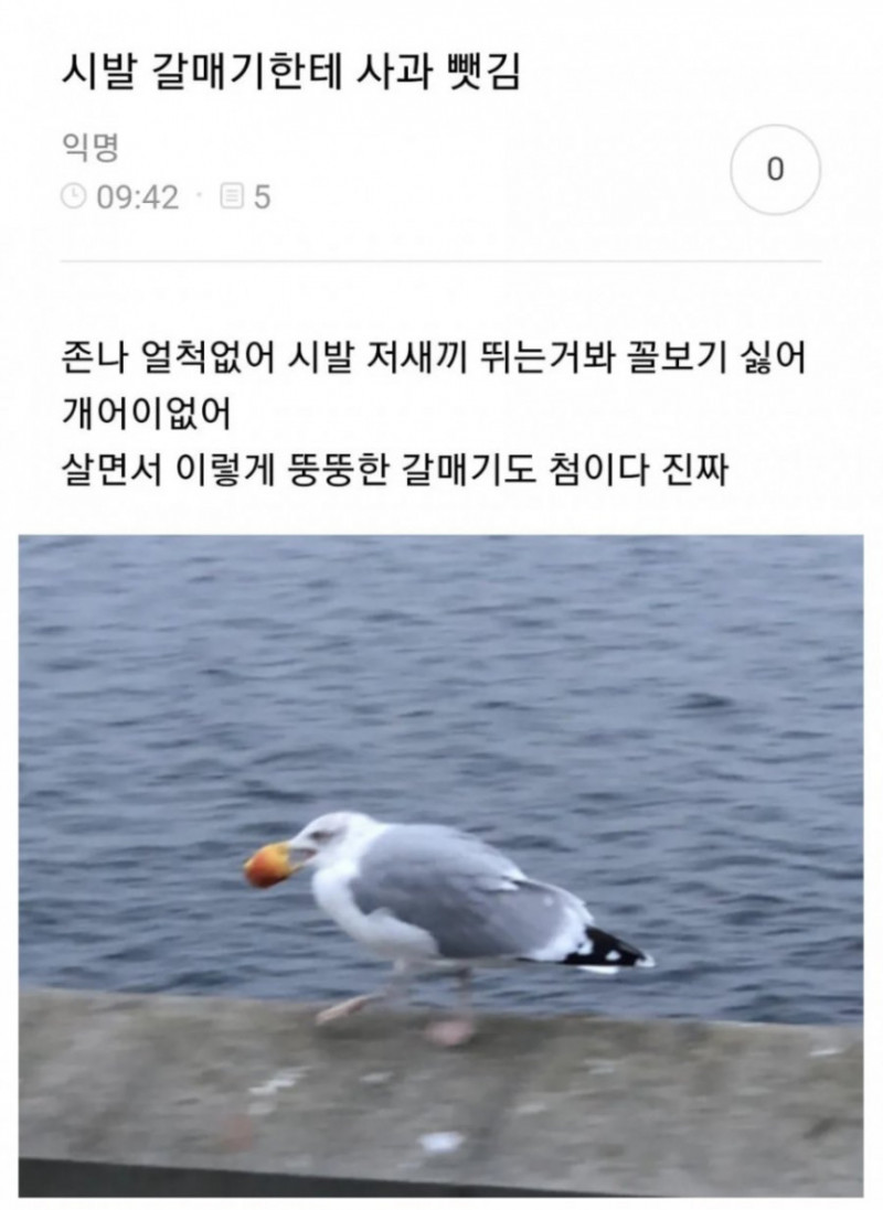 달팽이게임픽