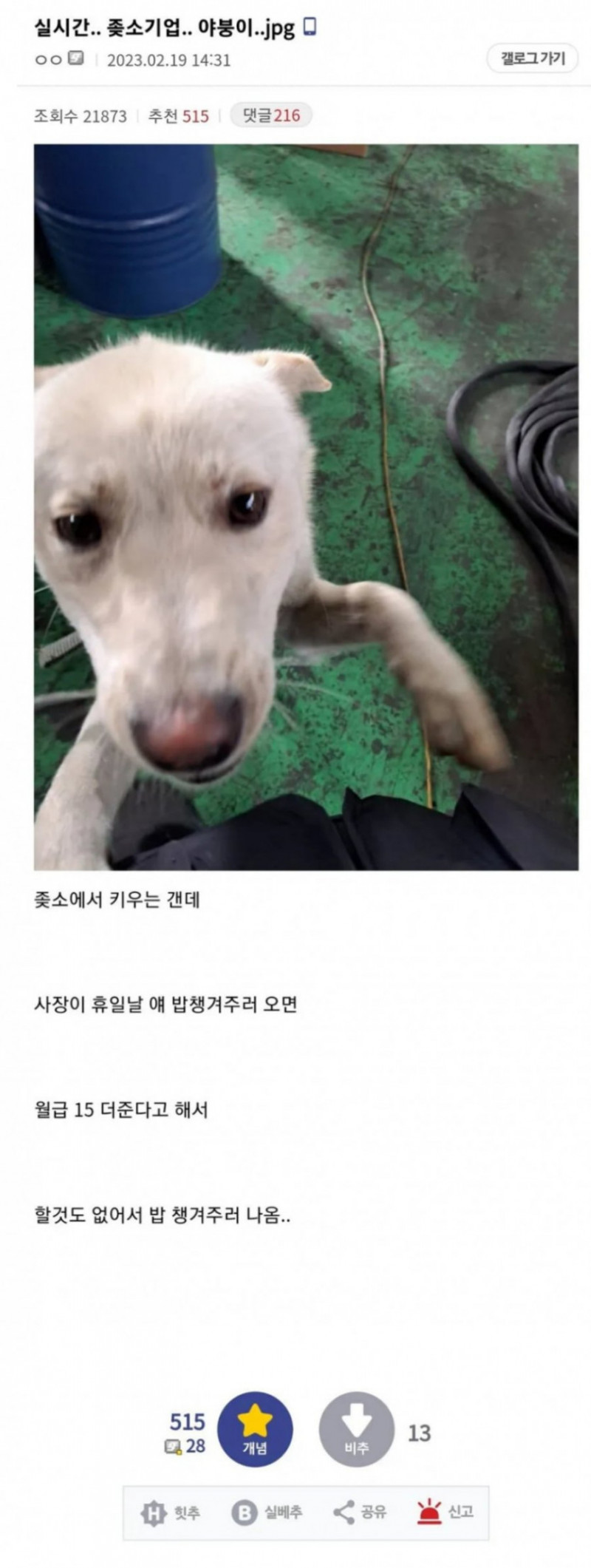 나눔로또 파워볼분석기