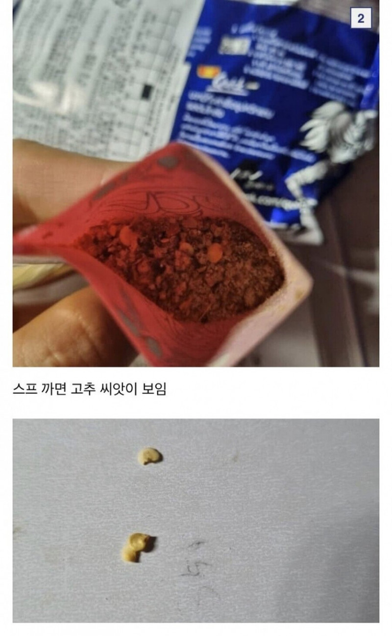 실시간파워볼