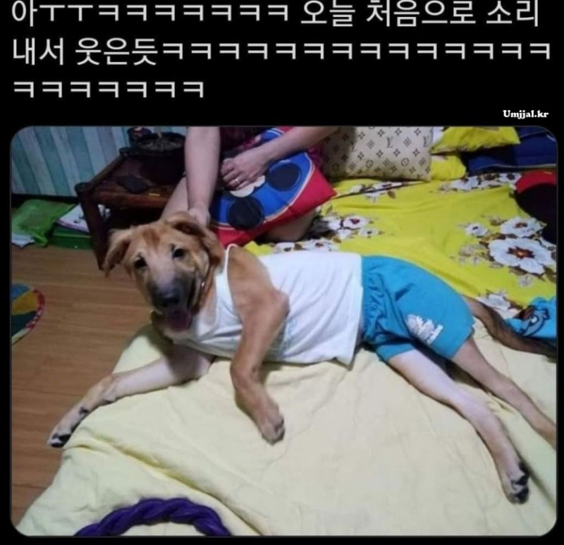 달팽이게임분석기