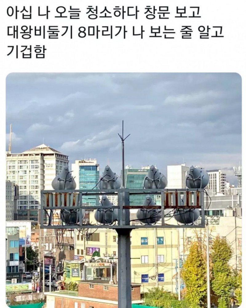 달팽이게임분석