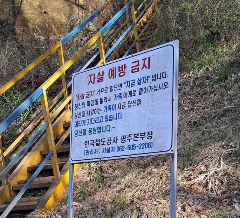 파워볼게임분석