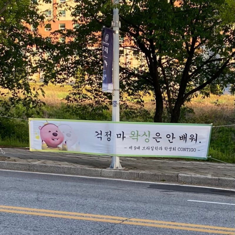 달팽이게임픽분석