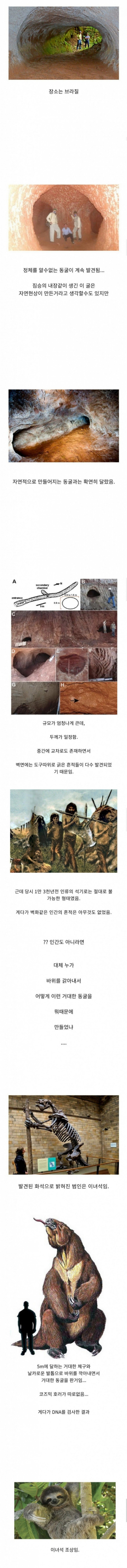 파워볼게임분석