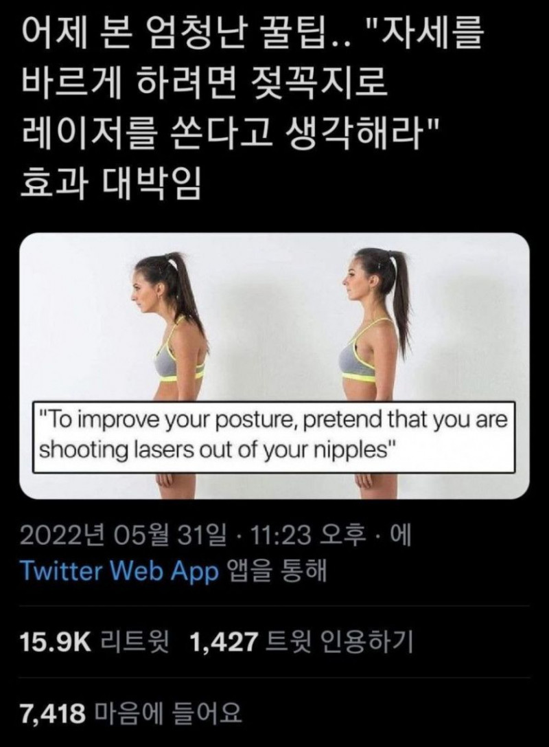 사다리게임분석기