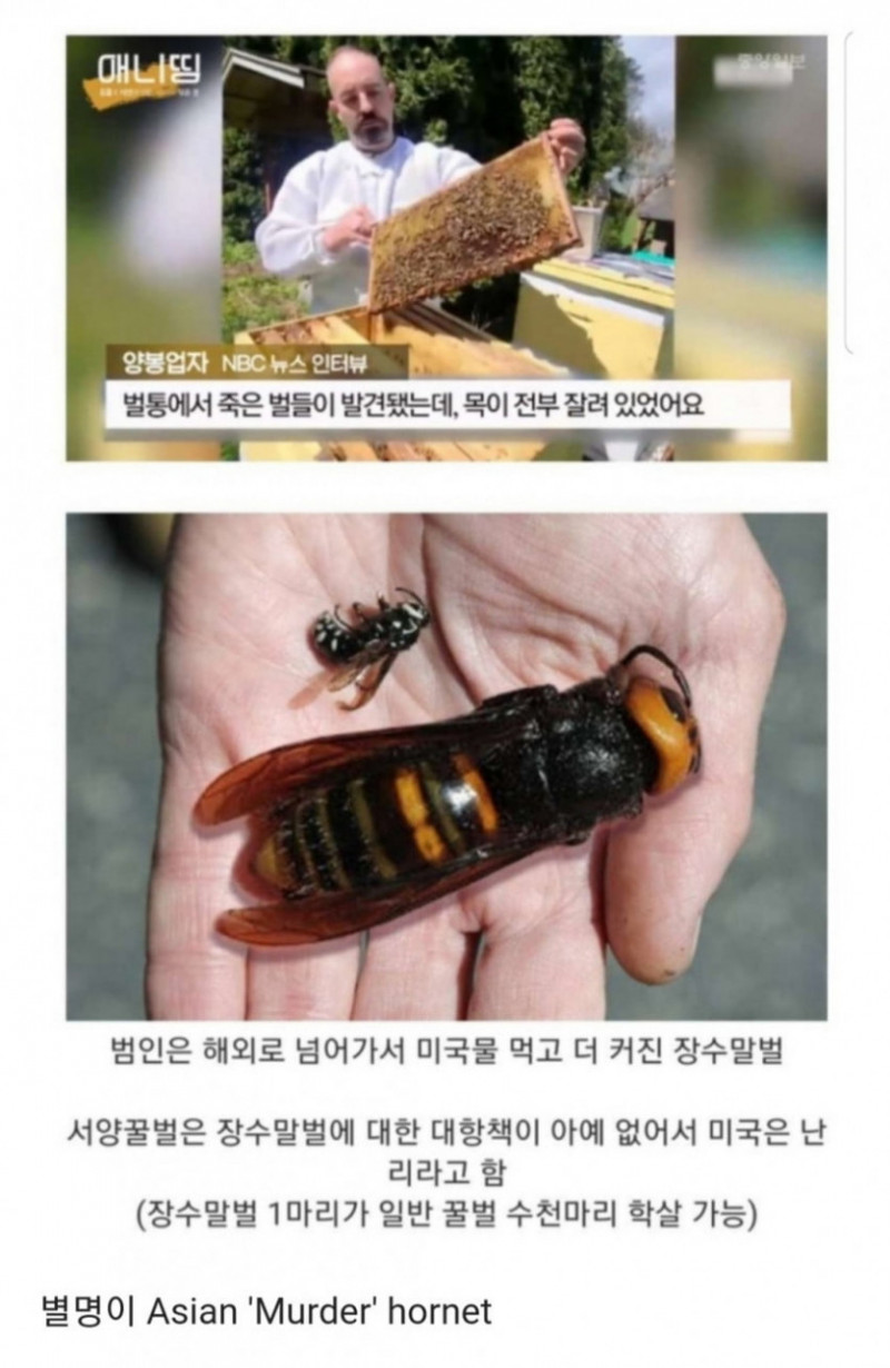 달팽이게임통계