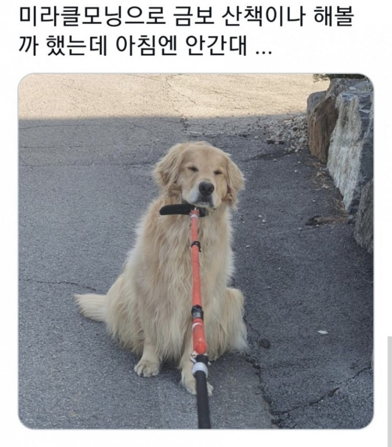 실시간달팽이