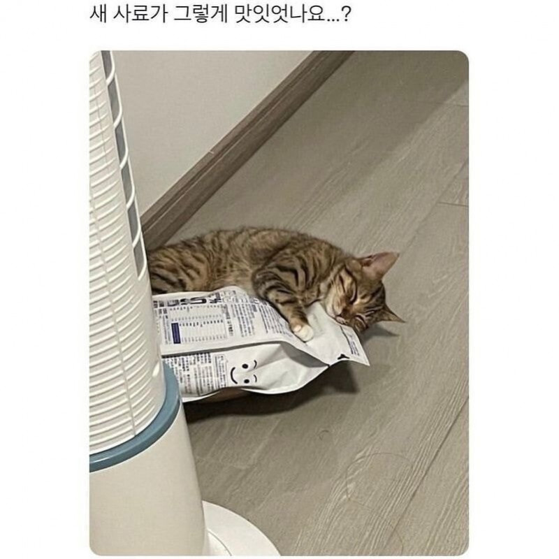 달팽이게임픽분석