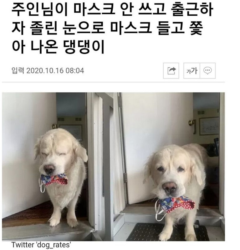 파워볼게임분석