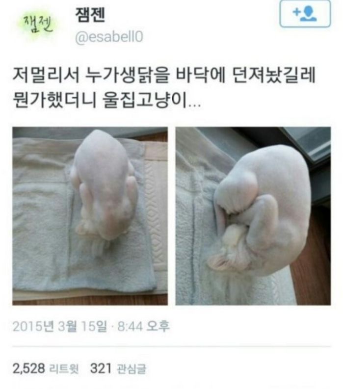 달팽이게임픽