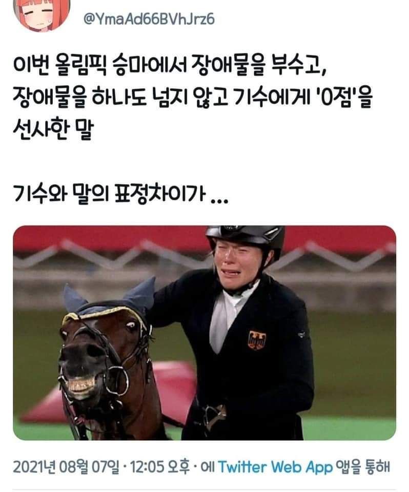 달팽이게임분석