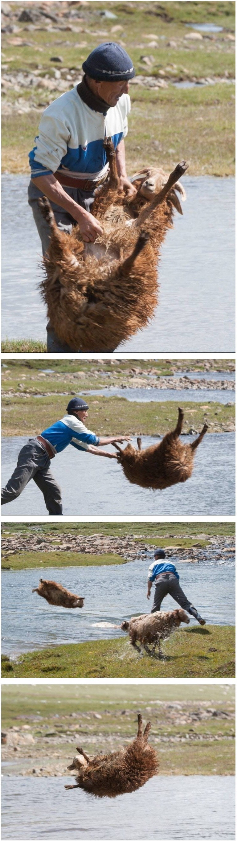 파워볼게임픽분석