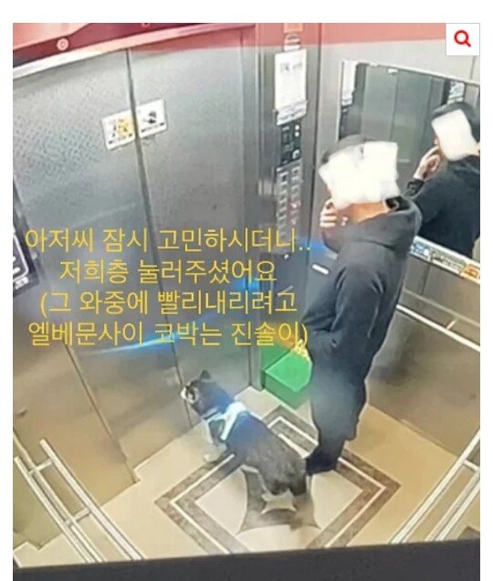 달팽이게임픽게임