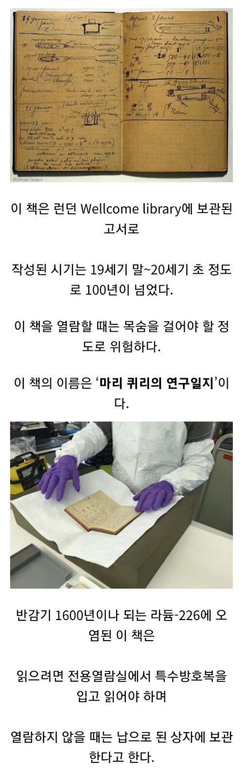 다리다리 분석과 실시간패턴통계