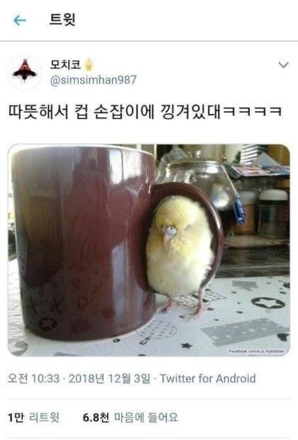 파워볼게임분석기