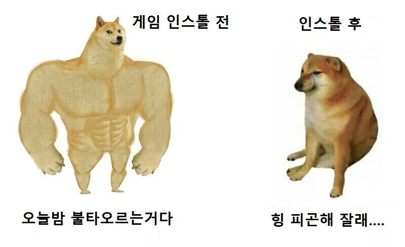 사다리게임분석