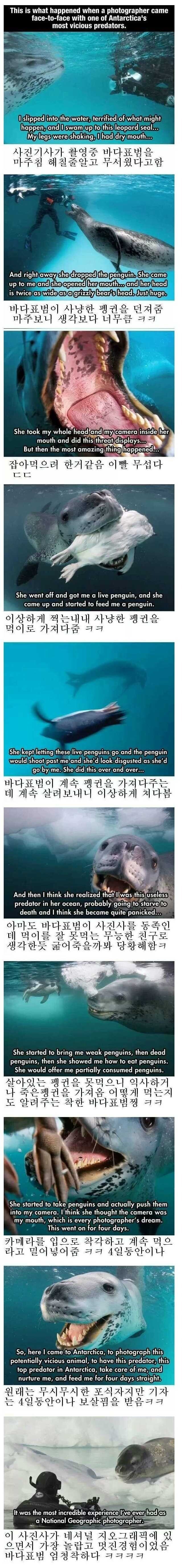 파워볼