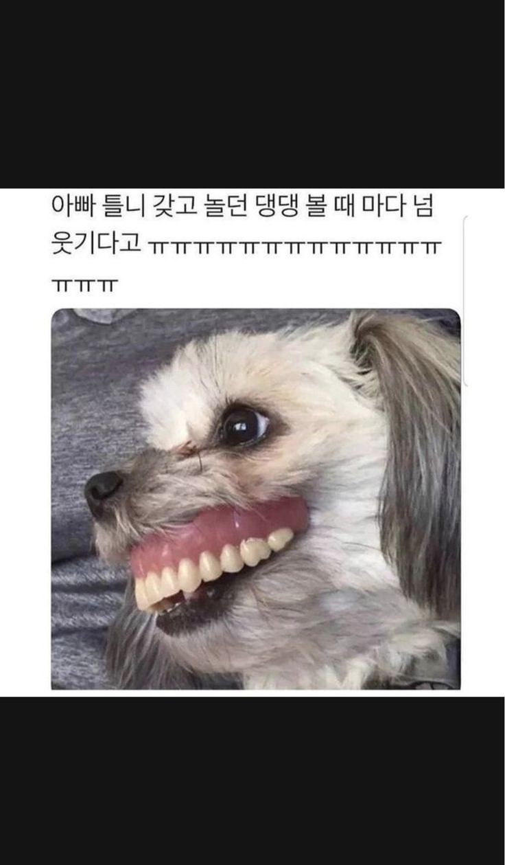 달팽이필승