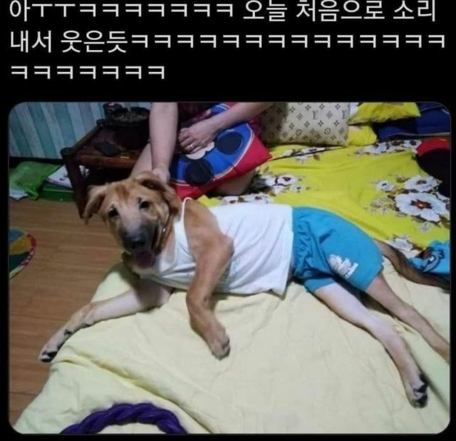 달팽이게임픽분석