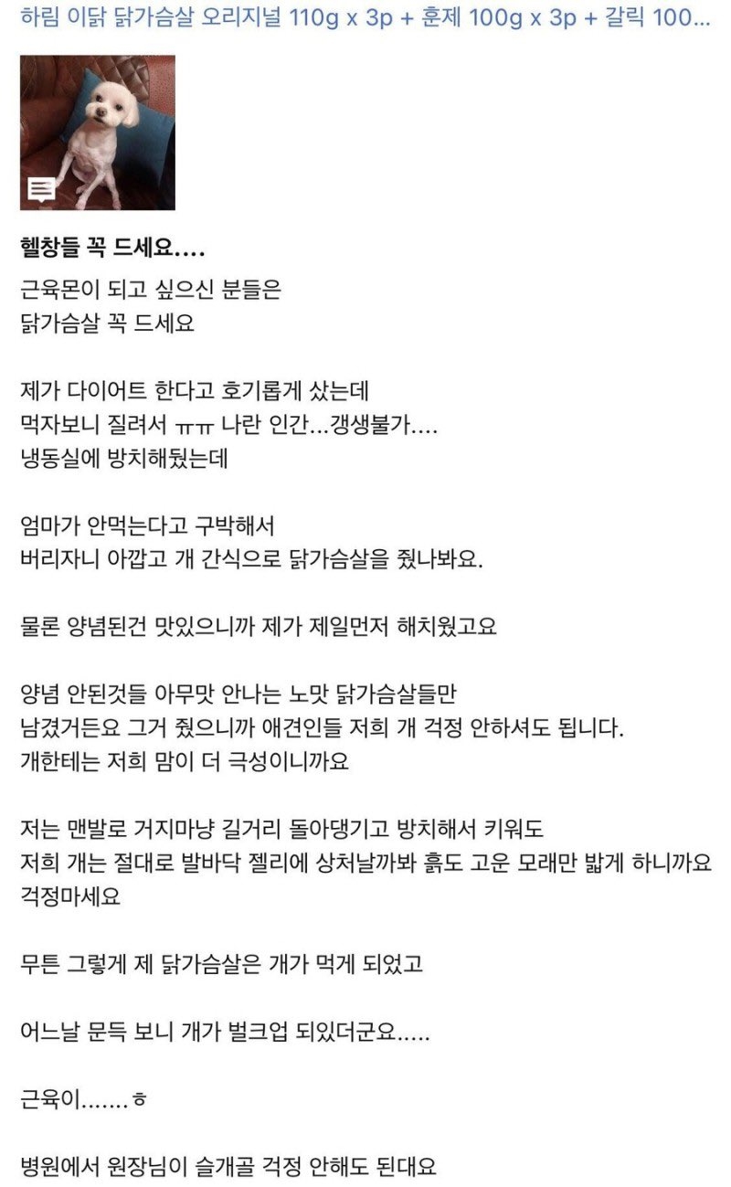 실시간달팽이